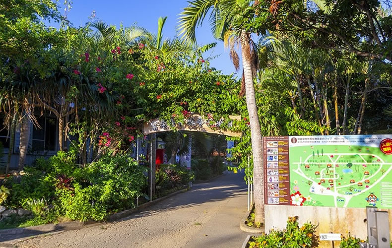 宮古島市熱帯植物園を徹底解説！宮古島ならではの体験が盛りだくさん！